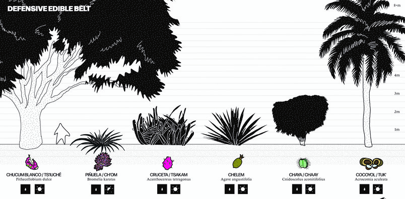 Fruit trees