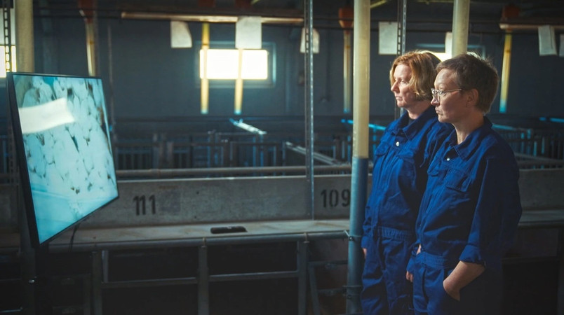 From the TV 2 documentary Hvem passer på Grisene? (english: Who Is Looking After the Pigs?), which reveals critical animal welfare issues in the Danish pig industry. Shown here are Lene Juul Pedersen, Professor and Section Head at the Department of Animal and Veterinary Sciences, Aarhus University (AU), and Hanne Kongsted, Associate Professor at the Department of Animal and Veterinary Sciences, Aarhus University (AU).
