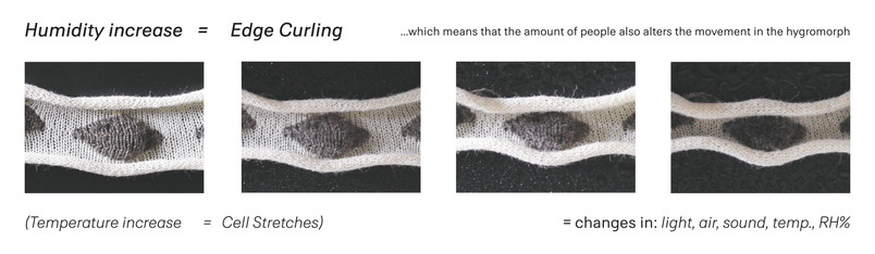 hygromorph movement