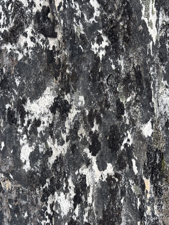 Fjeld texture
