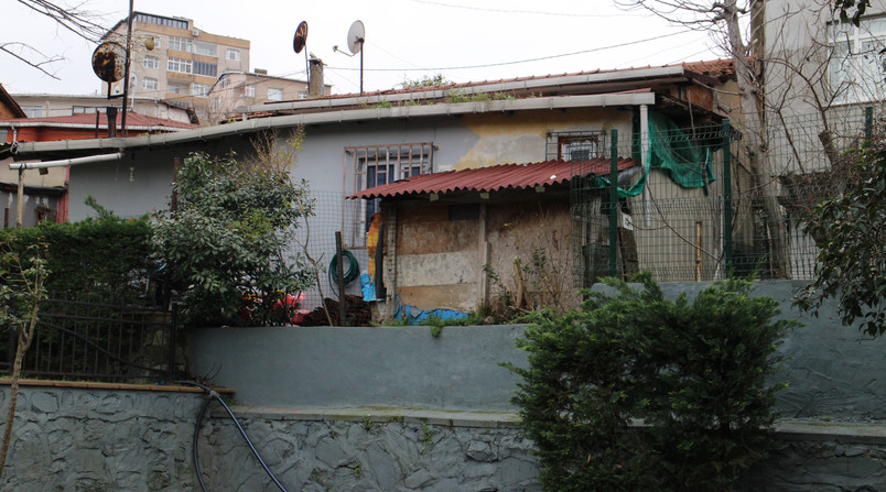 Site photo