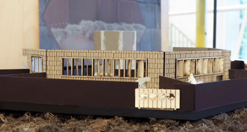 A new breeding barn typology