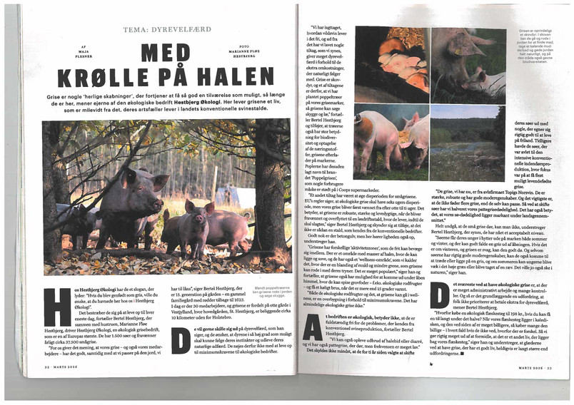 Scanned article