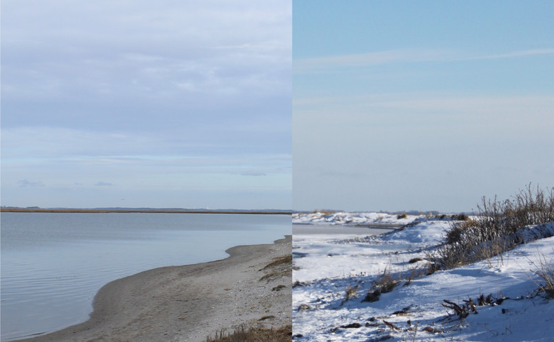 Eget foto