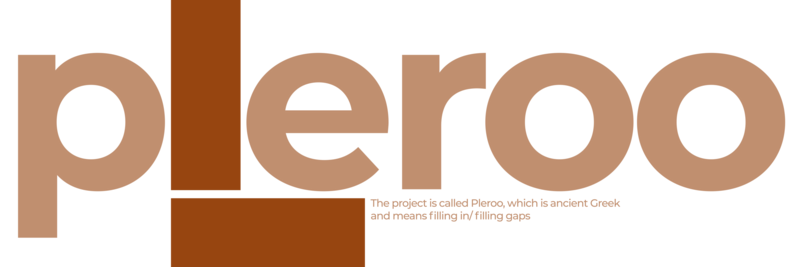 Pleroo___As a Start_Up