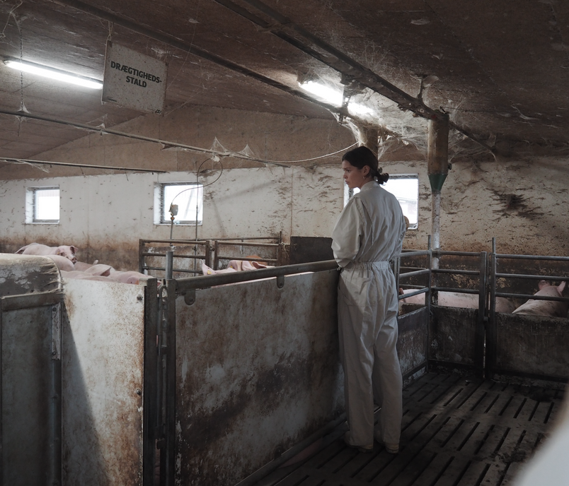 Field study at a conventional production facility