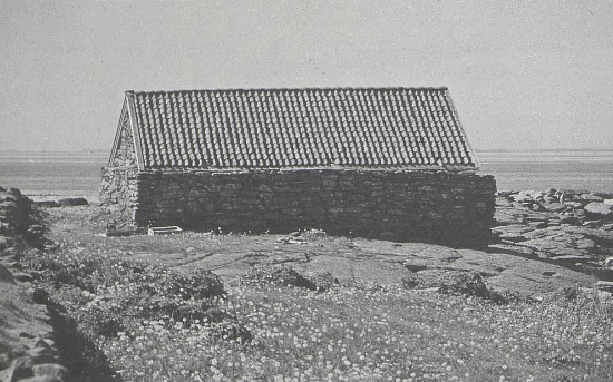steinnaust