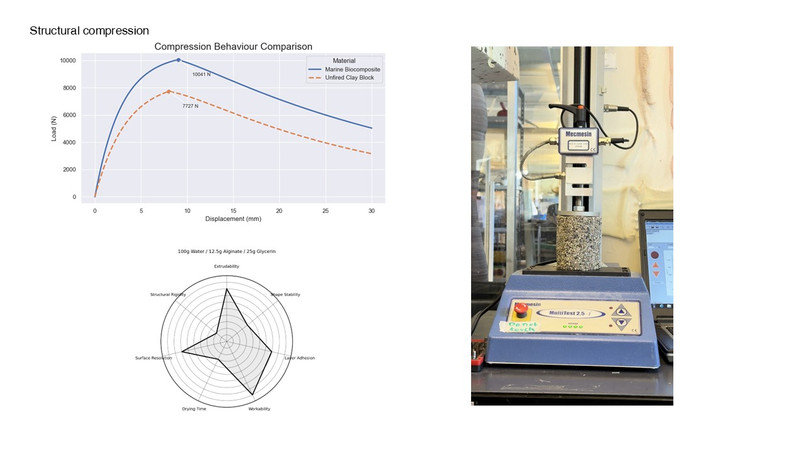 Structural Test