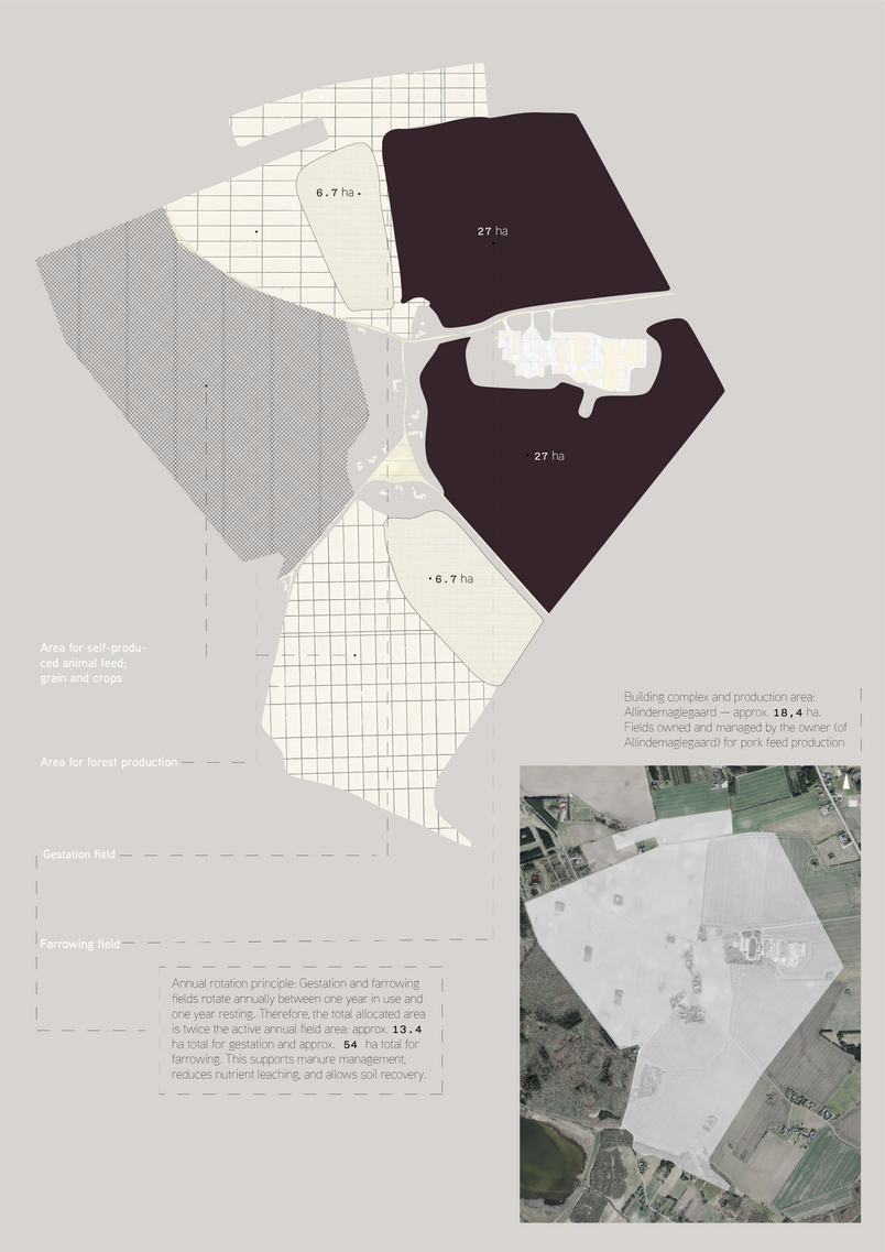 The farm’s associated agricultural land also forms a central part of the case. With reduced production, it becomes possible to rethink parts of the land currently used for feed production as a more diversified landscape structure with outdoor areas, farrowing fields, crops, tree production, and ecological cycles. In this way, Allindemaglegaard functions both as a concrete site and as a testing ground for how a systemic reform of pig production can be materialised through spatial design.