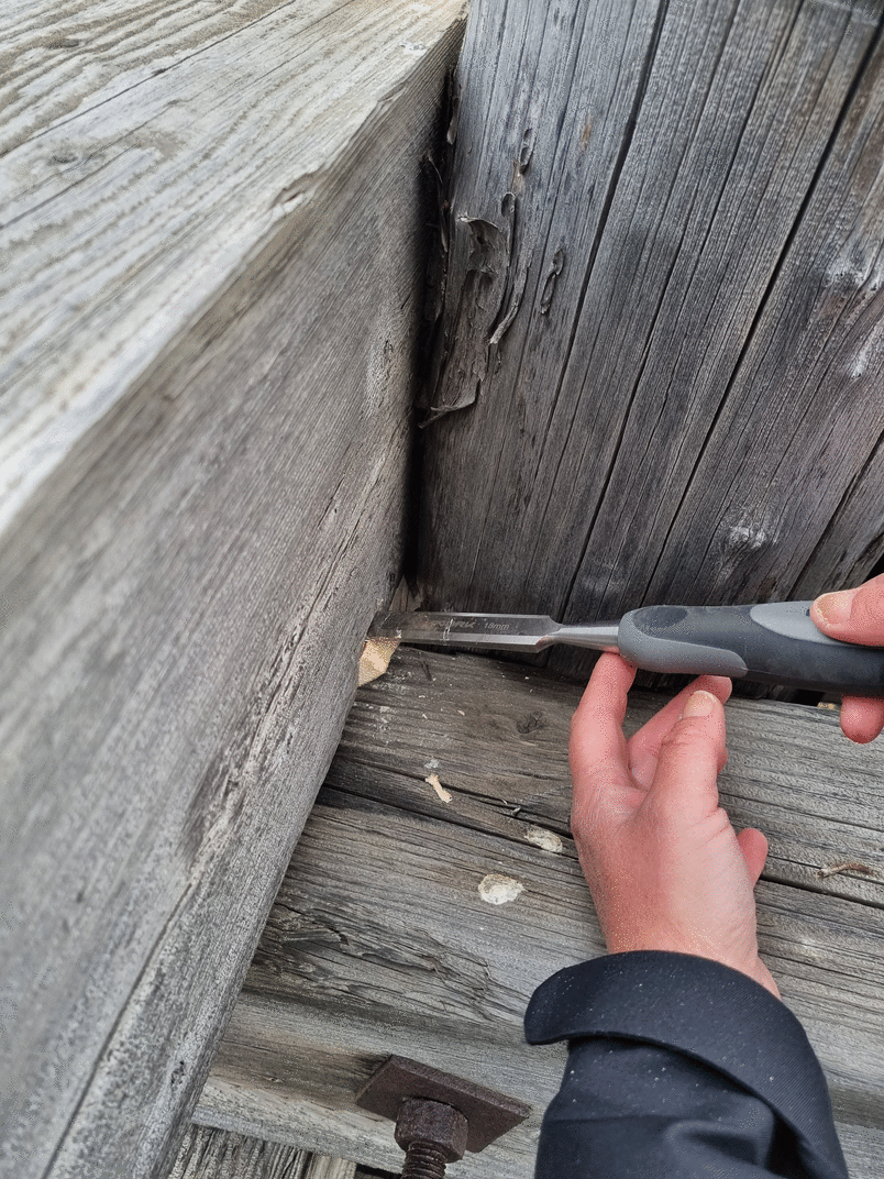 Sampling  of wood for laboratory analysis