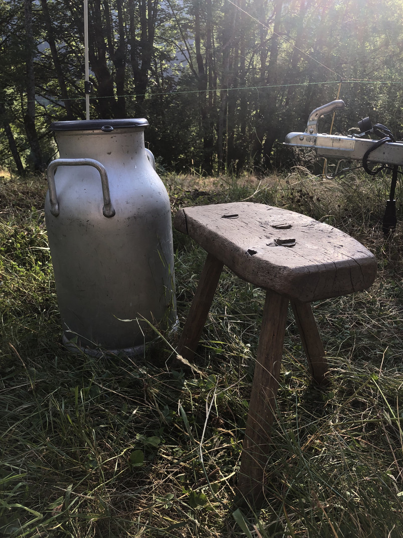 Milk tank and farmer's stool from Aurélien Gillier