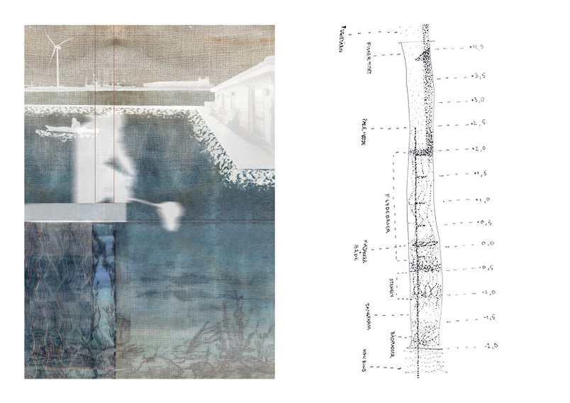 Collage, livet over og under vand