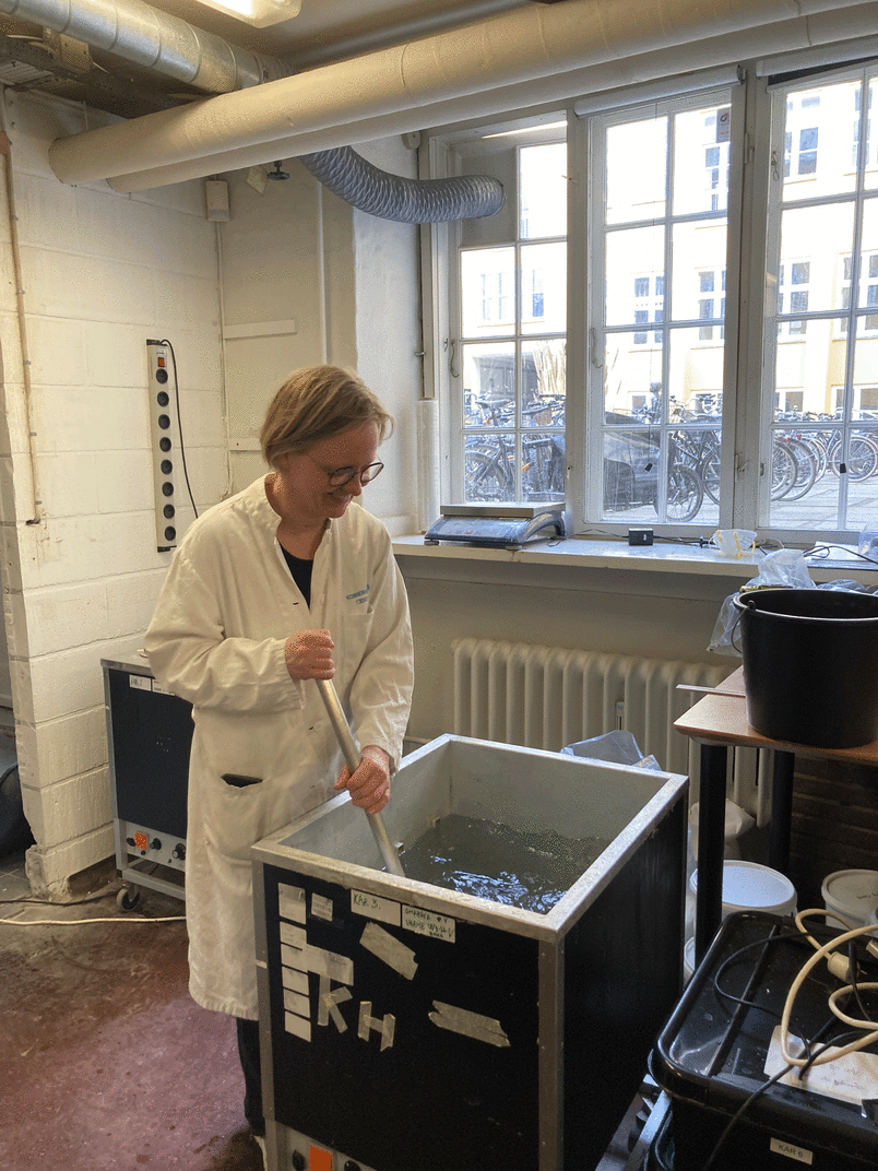 Preparation of impregnation solution for the model material 