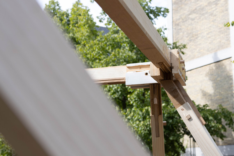hybrid wood species spatial joints
