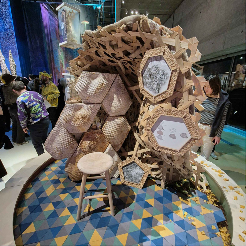 FungiAnarchistDesigners_Diorama