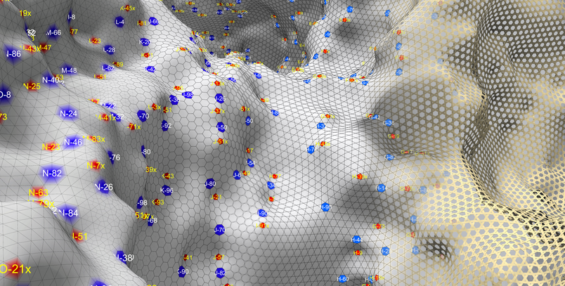 Digital 3D model of a curved mesh structure with hexagonal and triangular cells and coloured markings.
