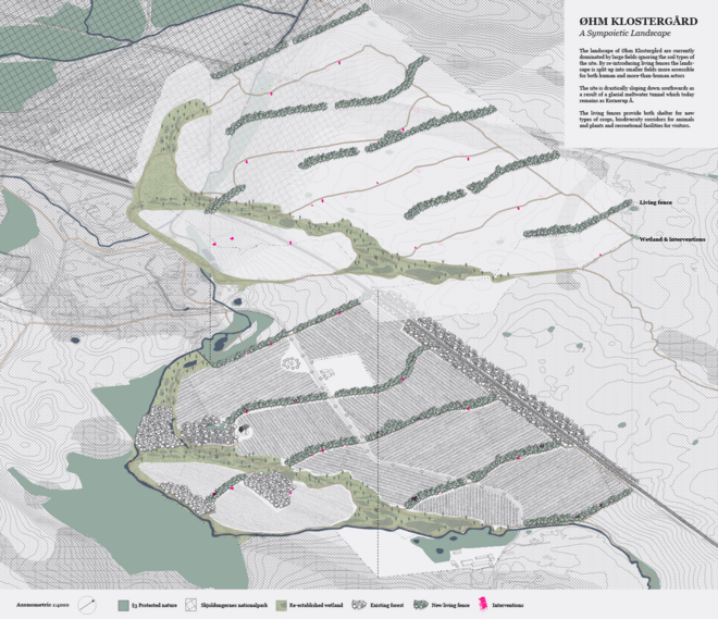 Organisation of new Living Fences
