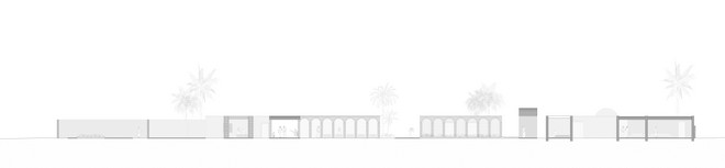 longitudinal Section