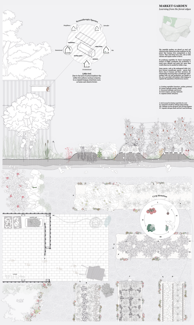 The vegetable garden typology