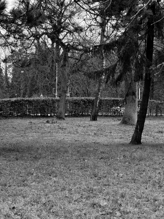 fotoregistrering2_site_frederikmylov