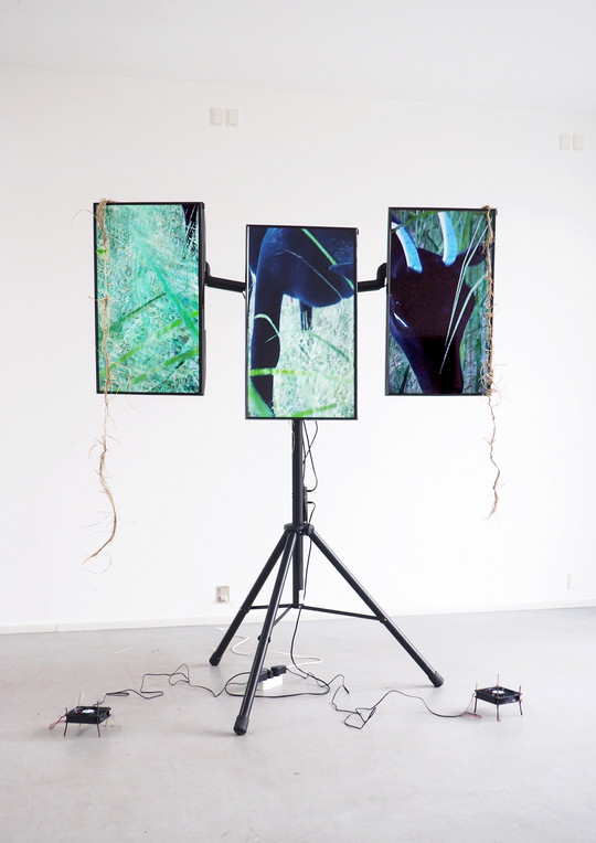 Digital model display. 2x2x2m. Rack with reeds and monitors. 
