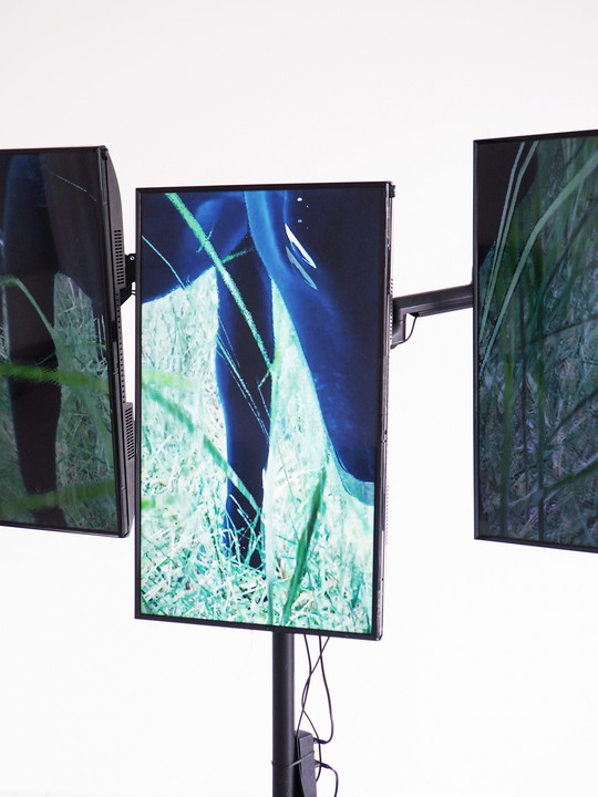 Digital model display. 2x2x2m. Rack with reeds and monitors. 