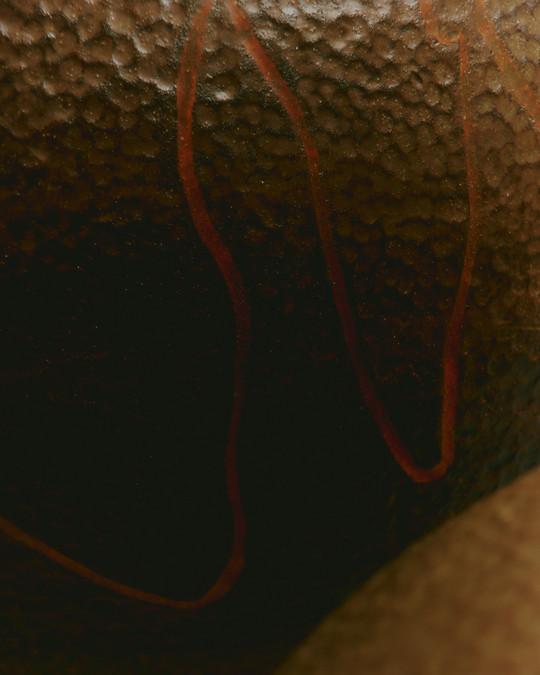 Detail shot by Peter Vinther
