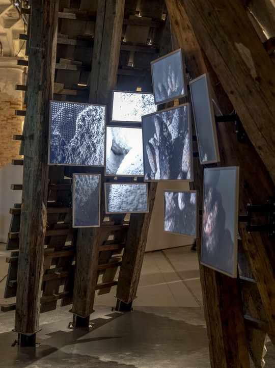 Royal Danish Academy - CITA - Local Resource - Collective Knowledge. Photo: Rasmus Hjortshøj