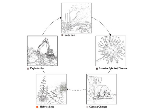 Industrialization and Urbanization: main causes of biodiversity loss