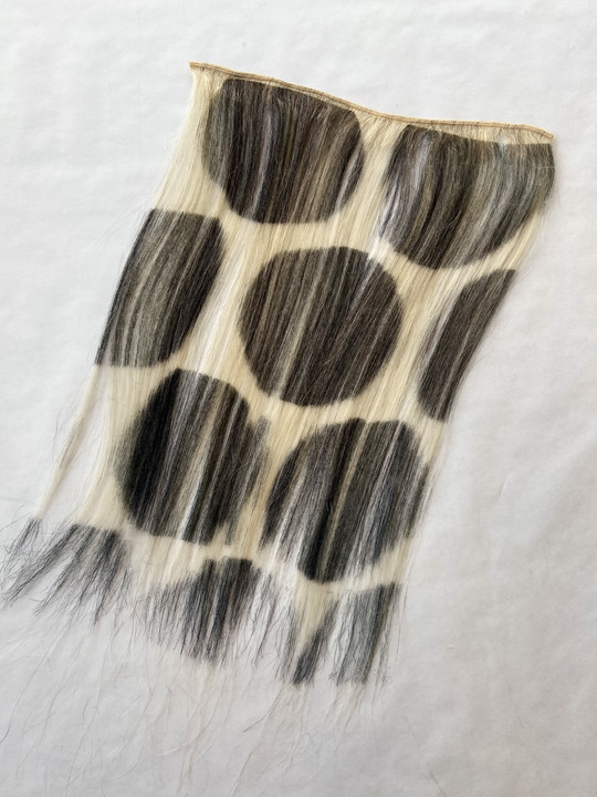 Hair print process