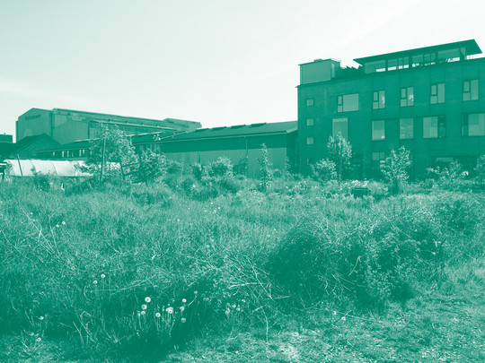Garden of Decay in May 2025