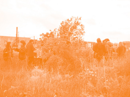Pop-up dinner at the Garden of Decay