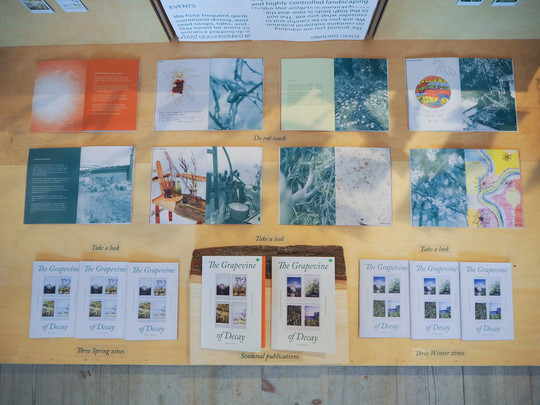 Zines displayed at the exhibition