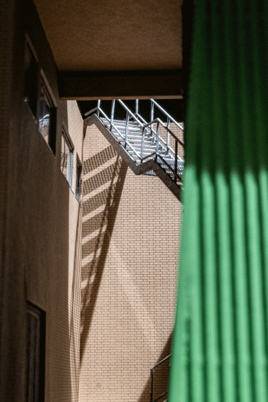 Animation of the entrance pathway with changing sunlight