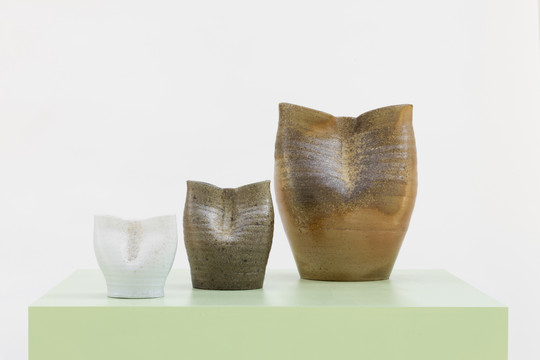 Family of jugs