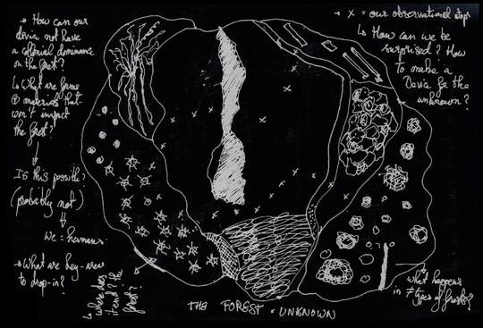 Drawing - forrest