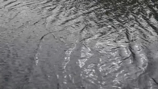 water surface