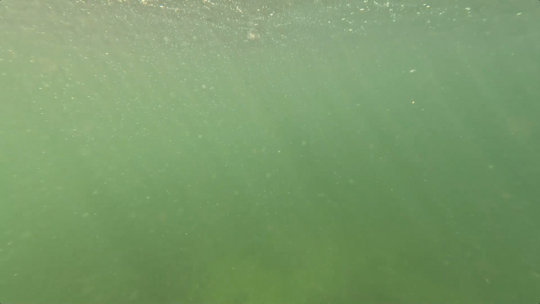 Green water