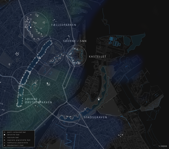 Mapping of bat activity in inner Copenhagen