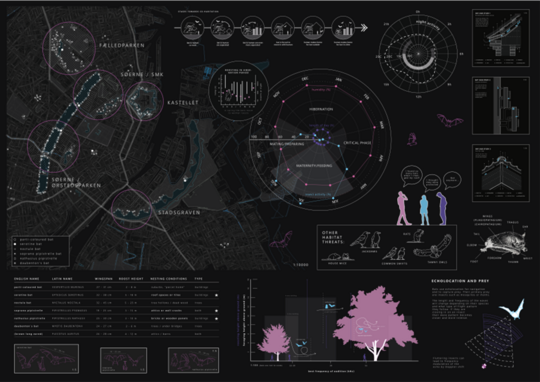 Infographic mapping of bats in inner Copenhagen