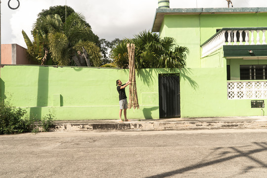 Person measuring or installing bundles of natural material against a green wall.