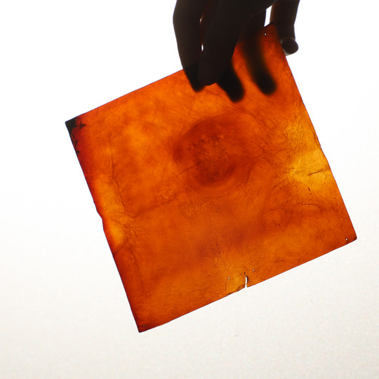 Hånd holder en gennemsigtig orange biomaterialeplade mod lys.
