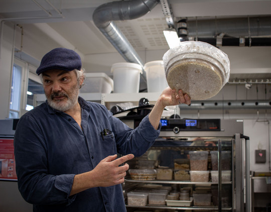A person holds a round container of cultivated mycelium in front of an incubator cabinet in a laboratory.