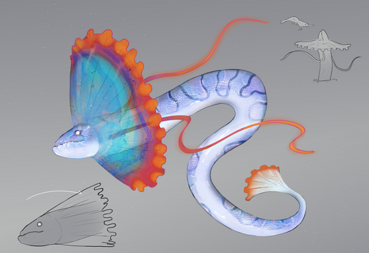 Illustration of a fantastical, snake‑like sea creature with large colorful fins and sketches of the creature around it.