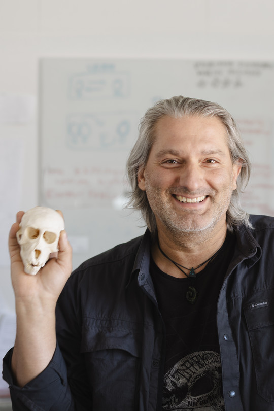 Alessandro Canossa, Behavioral Designer