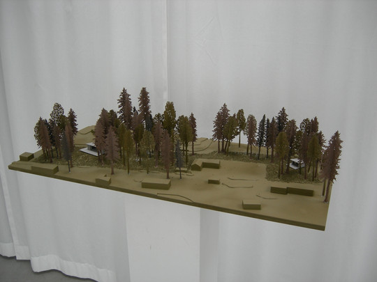 Site model 1:200