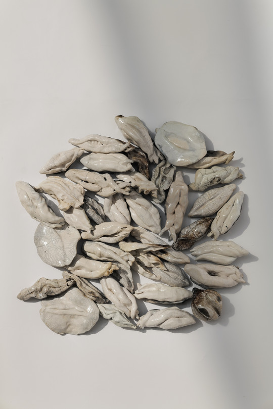 Raku seeds