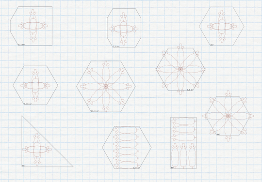 Investigation of scale relationships in relation to animals and space.