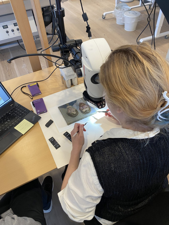 Extraction of physical samples from the Double Portrait, 2025