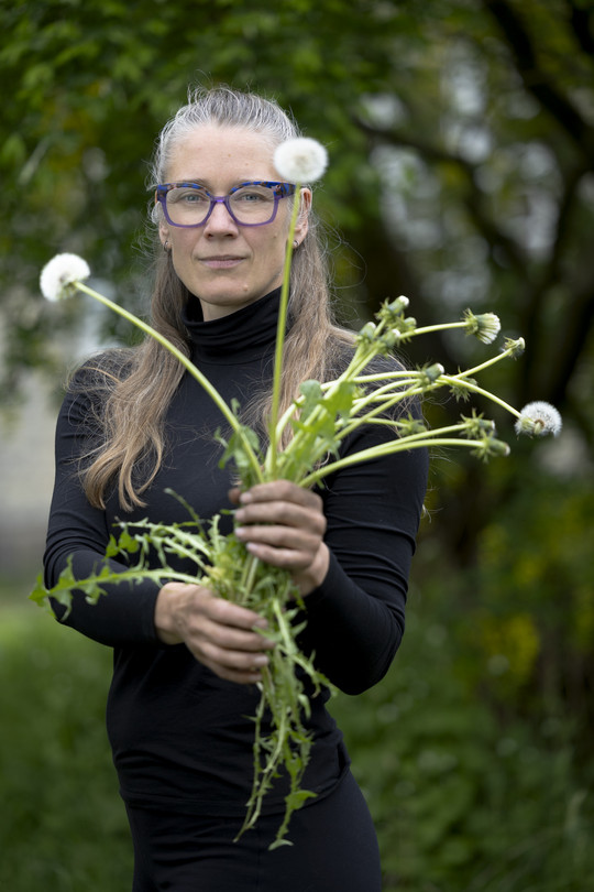 The researcher holding a dandelion full of spores up in front of the face
